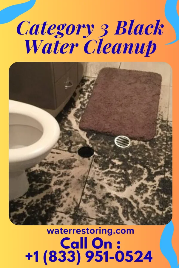 Category 3 Black Water Cleanup in Sussex, WI