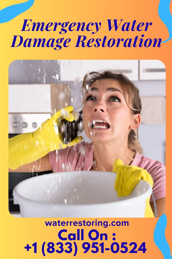 Emergency Water Damage Restoration in Sussex, WI