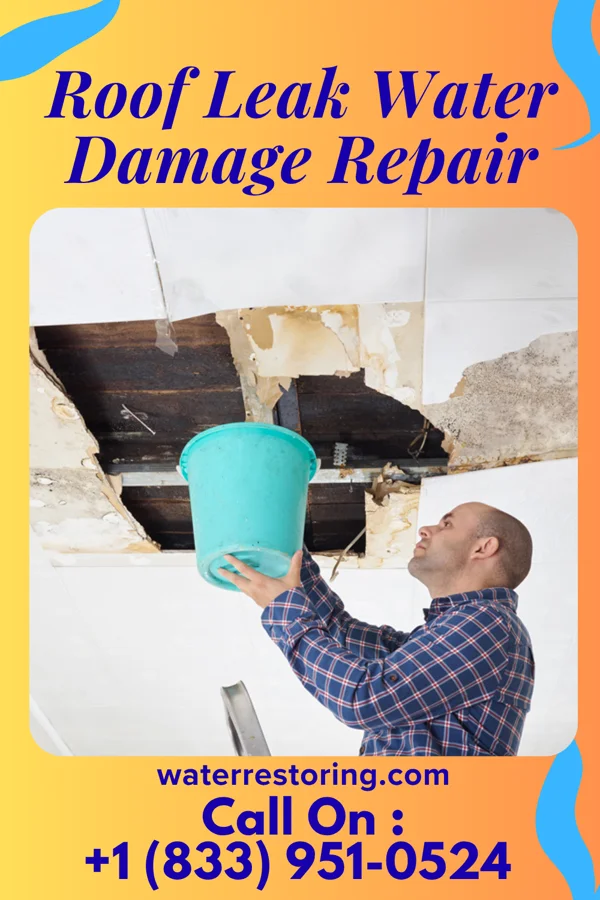 Roof Leak Water Damage Repair in Sussex, WI