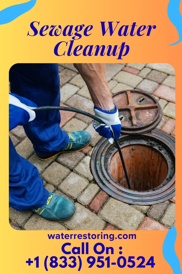 Sewage Water Cleanup in Sussex, WI